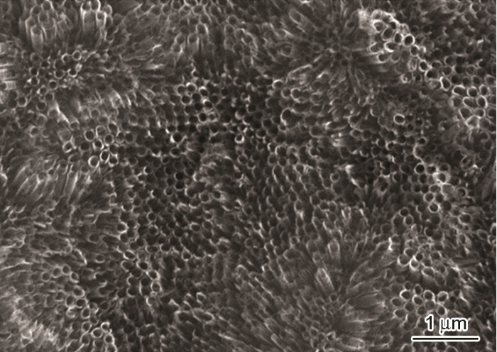 41a21078-8eca-4eb8-b424-8190a7232e2f-image002.png