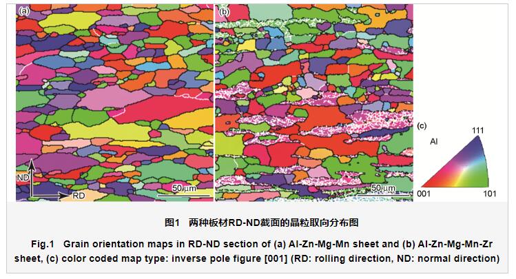 QQ截圖20210419133243.jpg