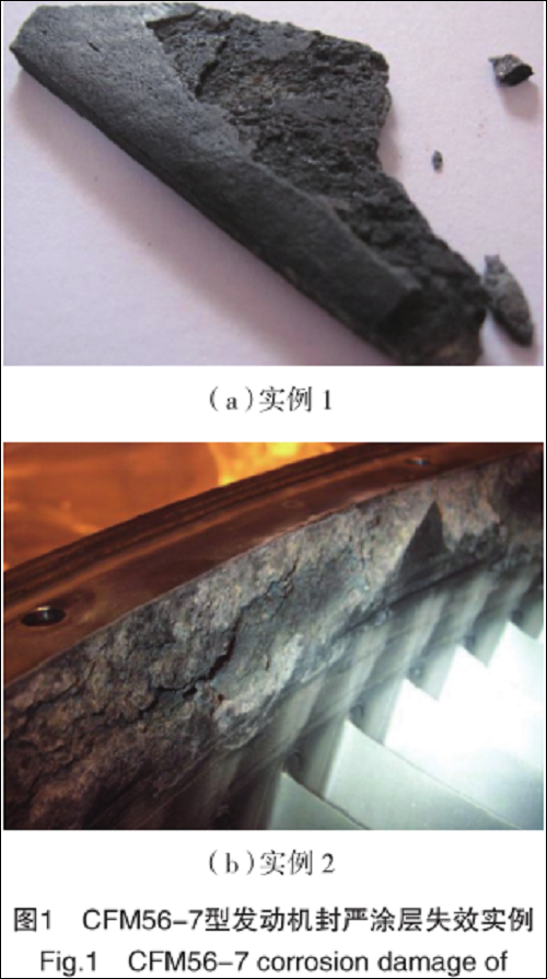 圖片14