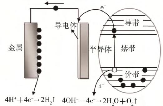 圖片6